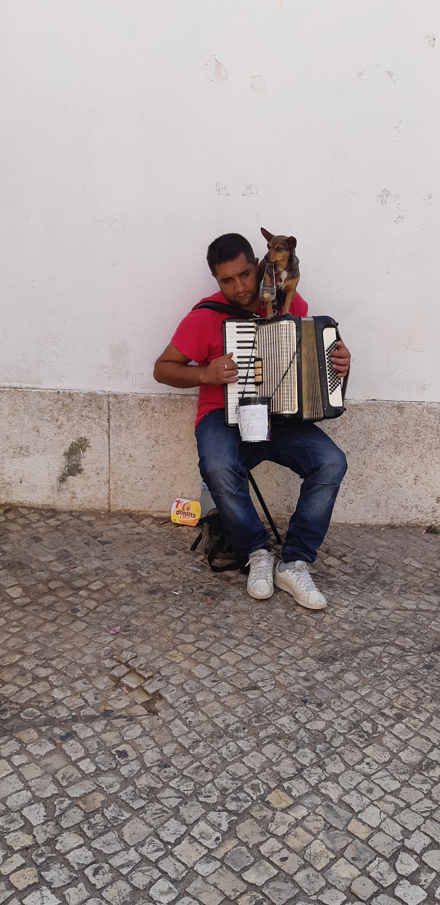 Preserving the Rich Heritage of Traditional Music