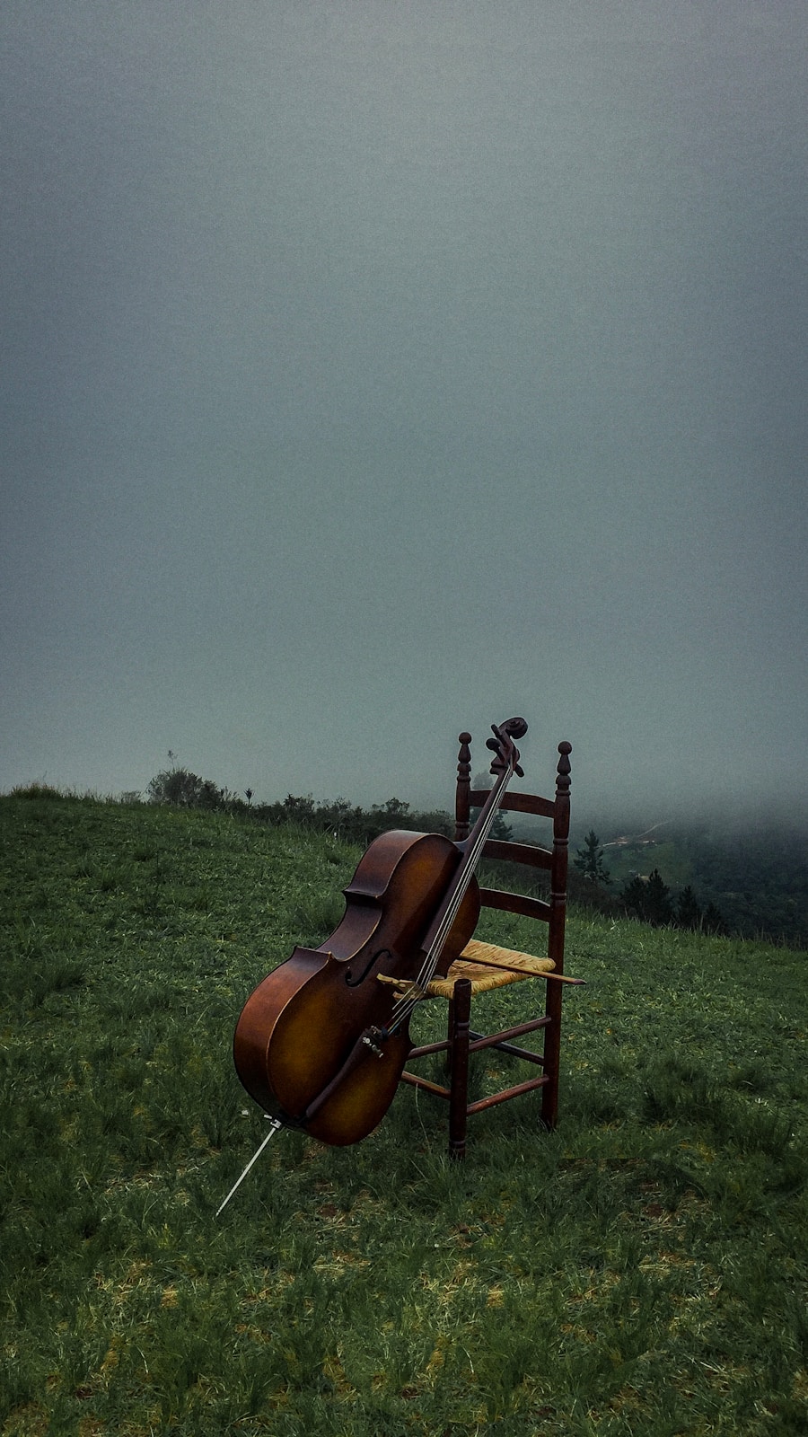 The Timeless Beauty of Classical Music